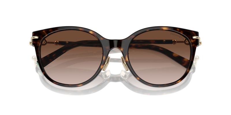 Tiffany & Co TF4223D-80153B - Folded View