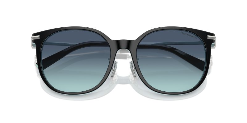 Tiffany & Co TF4224D-80559S - Folded View