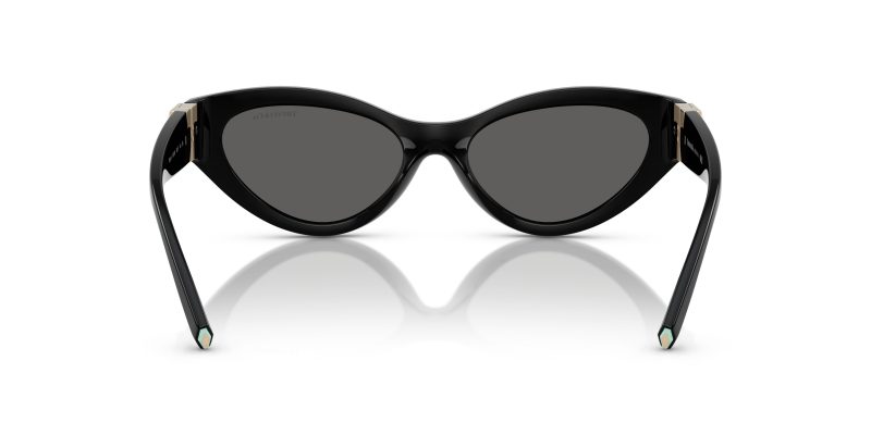 Tiffany & Co TF4225U-8001S4 - Back View