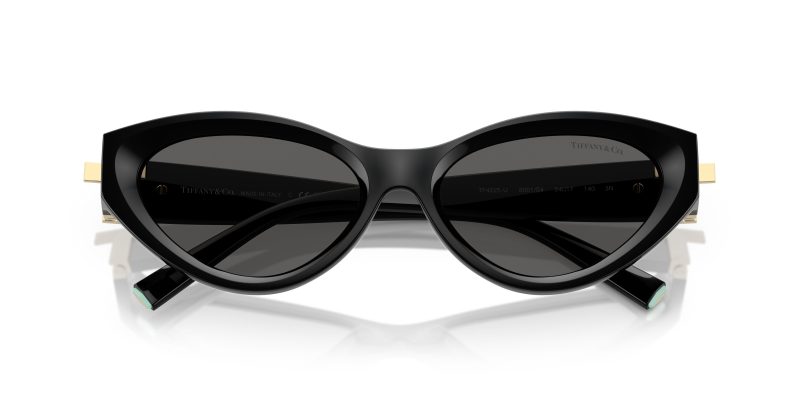 Tiffany & Co TF4225U-8001S4 - Folded View