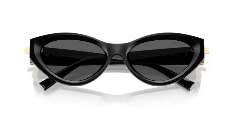 Tiffany & Co TF4225U-8001S4 - Folded View