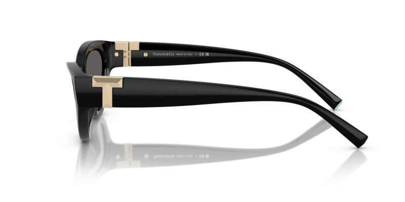 Tiffany & Co TF4225U-8001S4 - Side View