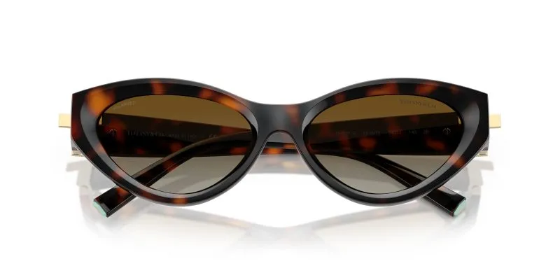 Tiffany & Co TF4225U-8015T5 - Folded View