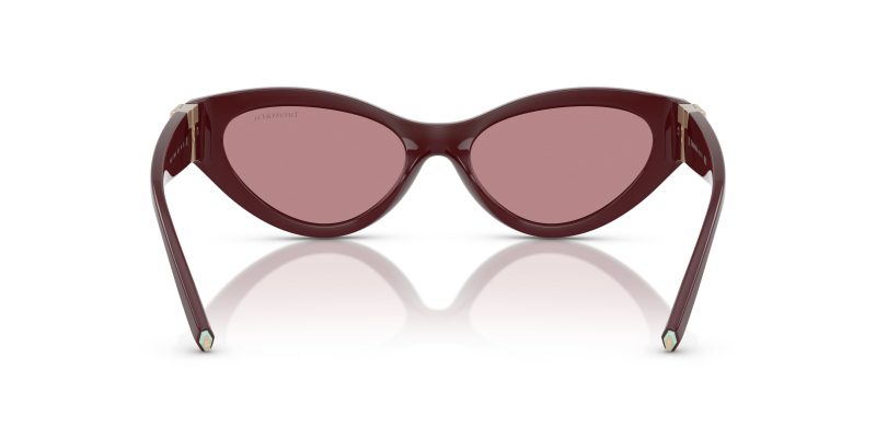 Tiffany & Co TF4225U-838930 - Back View