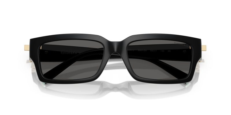 Tiffany & Co TF4226U-8001S4 - Folded View