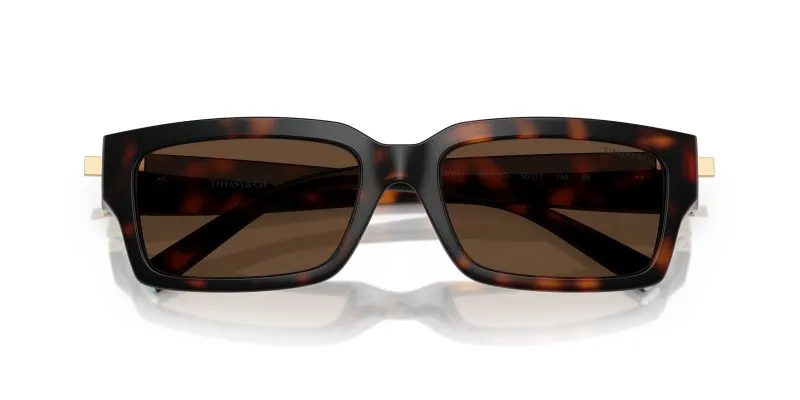 Tiffany & Co TF4226U-80153G - Folded View