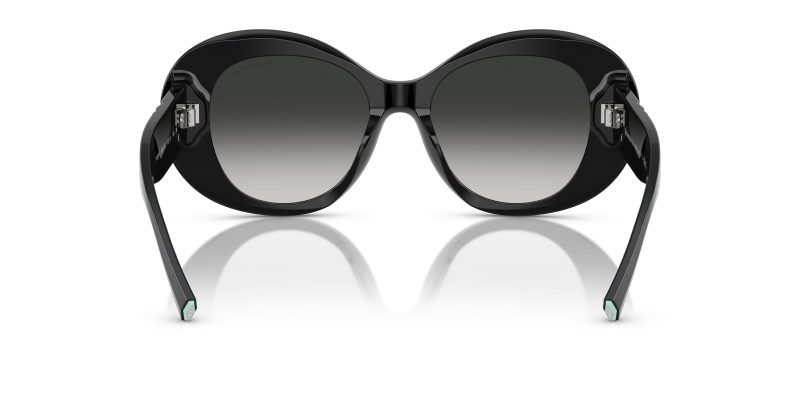 Tiffany & Co TF4228F-80013C - Back View