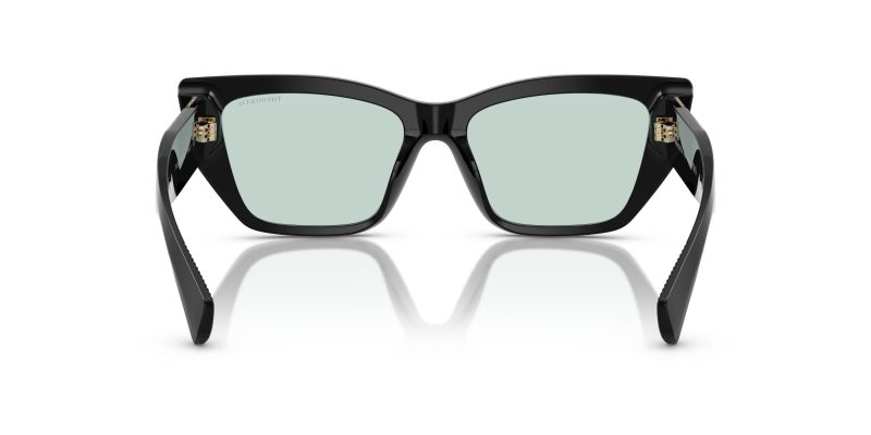 Tiffany & Co TF4230F-8001D9 - Back View