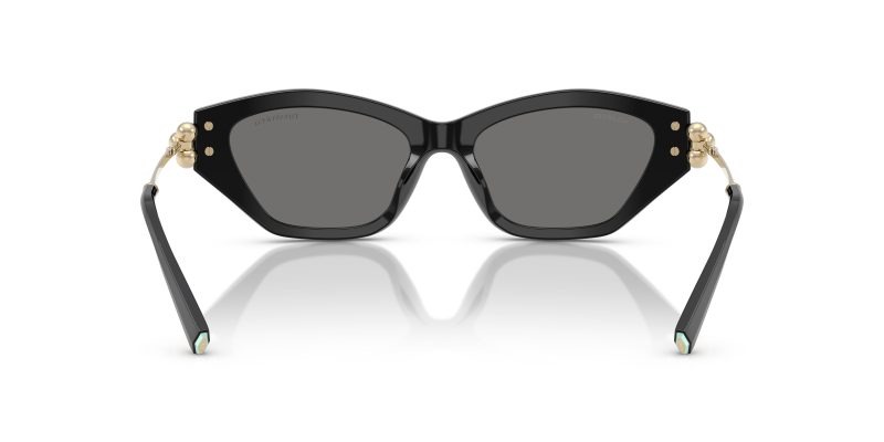 Tiffany & Co TF4231U-800181 - Back View