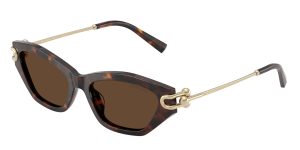 Tiffany & Co TF4231U-80153G