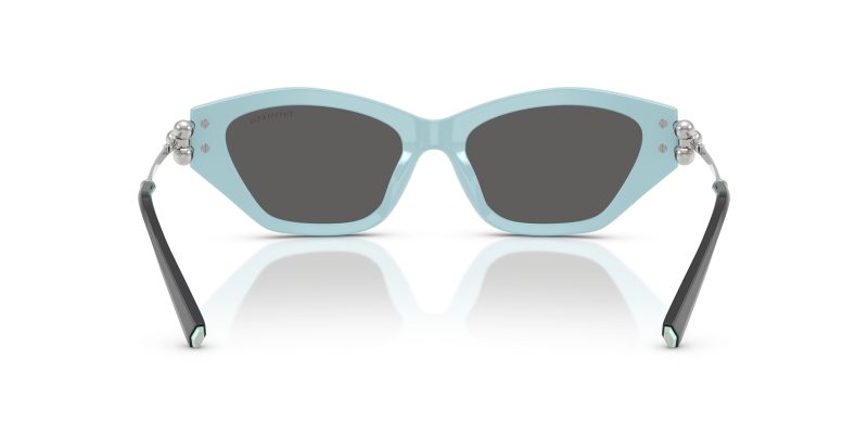 Tiffany & Co TF4231U-8055S4 - Back View