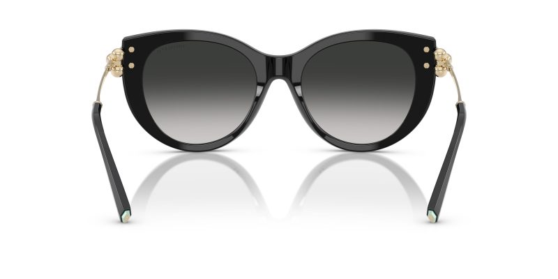 Tiffany & Co TF4232F-80013C - Back View