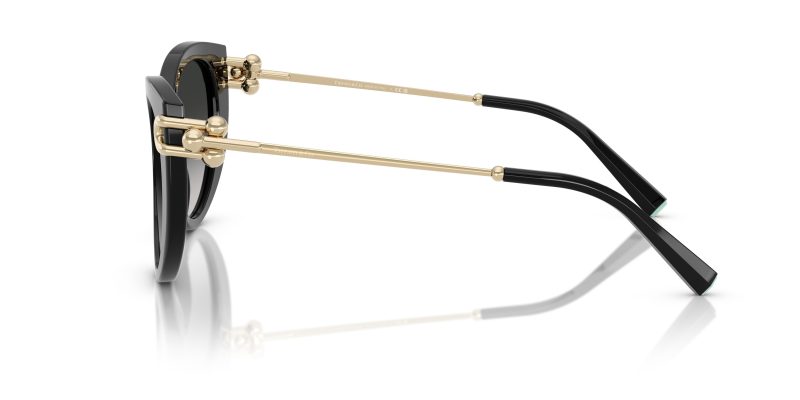 Tiffany & Co TF4232F-80013C - Side View