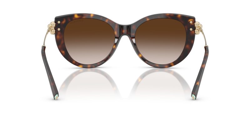 Tiffany & Co TF4232F-80153B - Back View