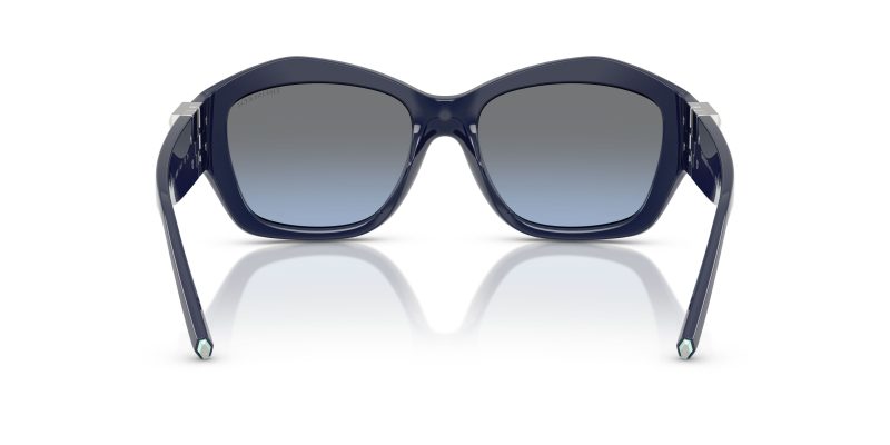 Tiffany & Co TF4233U-83968F - Back View