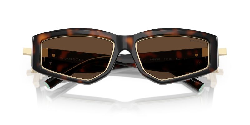 Tiffany & Co TF4234U-80153G - Folded View