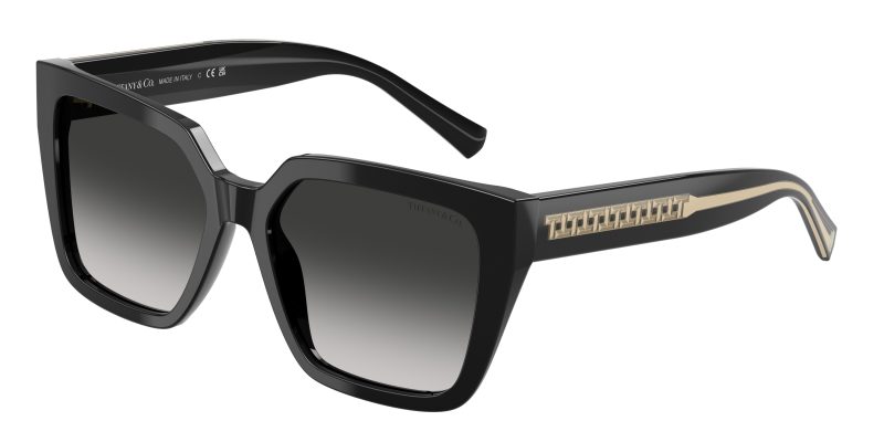 Tiffany & Co TF4235-80013C