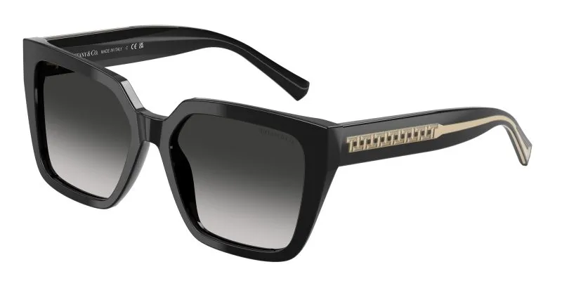 Tiffany & Co TF4235-80013C