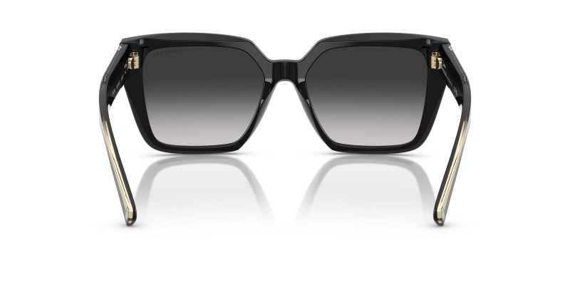 Tiffany & Co TF4235-80013C - Back View