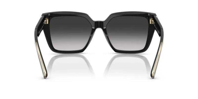 Tiffany & Co TF4235-80013C - Back View
