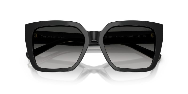 Tiffany & Co TF4235-80013C - Folded View