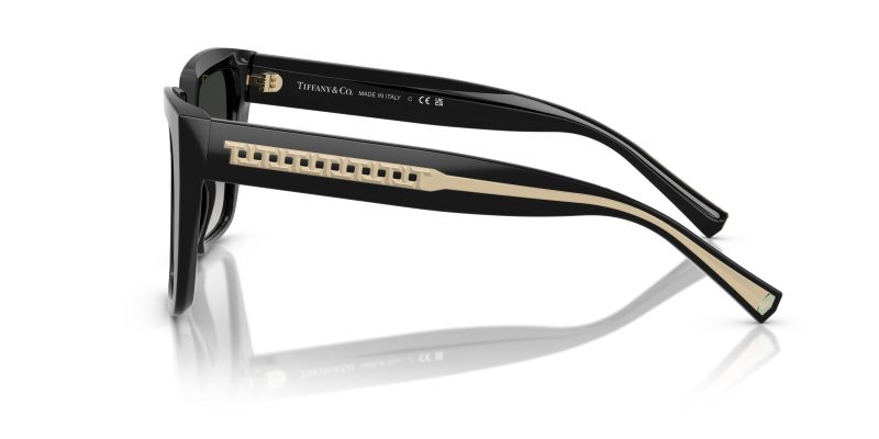Tiffany & Co TF4235-80013C - Side View