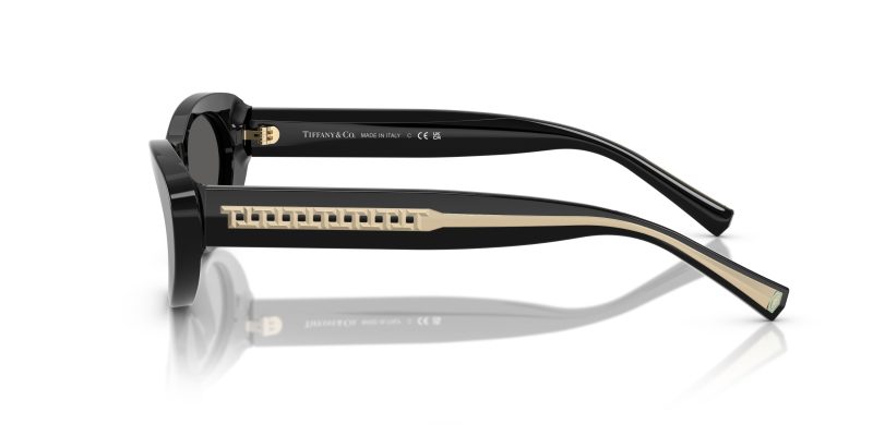 Tiffany & Co TF4236U-8001S4 - Side View