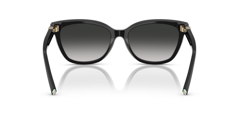 Tiffany & Co TF4237BF-80013C - Back View