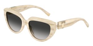 Tiffany & Co TF4238U-84313C