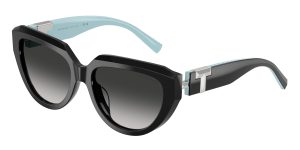 Tiffany & Co TF4238U-84653C