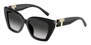 Tiffany & Co TF4239U-80013C