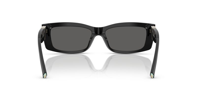 Tiffany & Co TF4240U-8001S4 - Back View