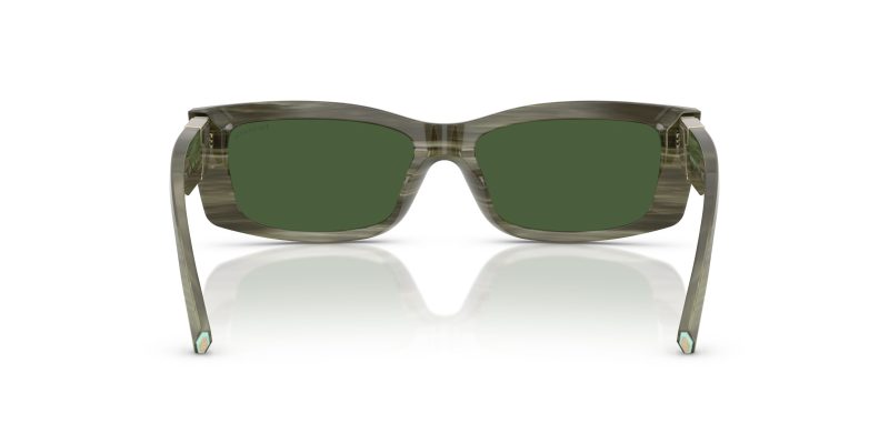 Tiffany & Co TF4240U-843371 - Back View