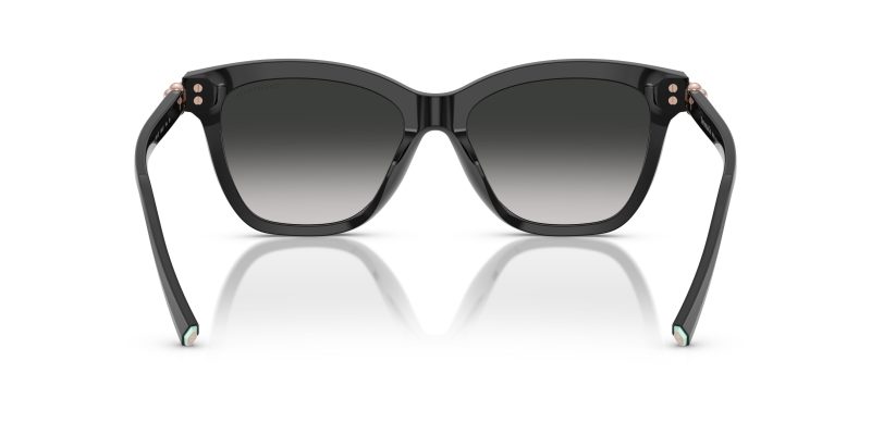 Tiffany & Co TF4241D-80013C - Back View