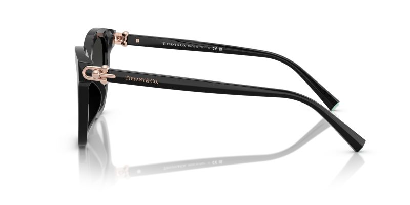 Tiffany & Co TF4241D-80013C - Side View