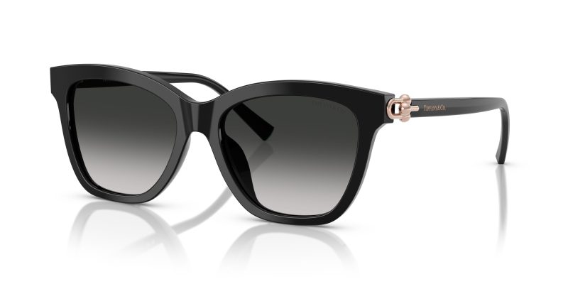 Tiffany & Co TF4241D-80013C - Quarter View