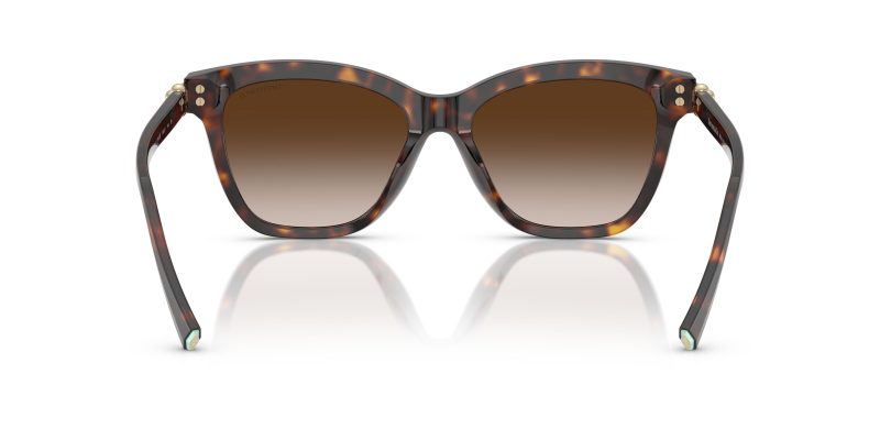 Tiffany & Co TF4241D-80153B - Back View