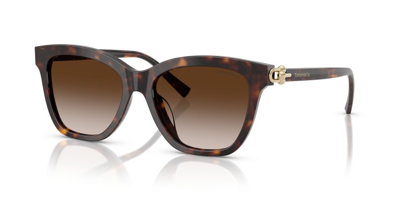 Tiffany & Co TF4241D-80153B - Quarter View