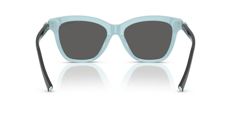 Tiffany & Co TF4241D-8055S4 - Back View