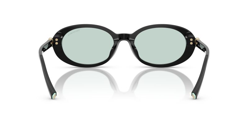 Tiffany & Co TF4242D-8001D9 - Back View