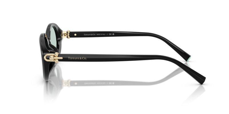 Tiffany & Co TF4242D-8001D9 - Side View