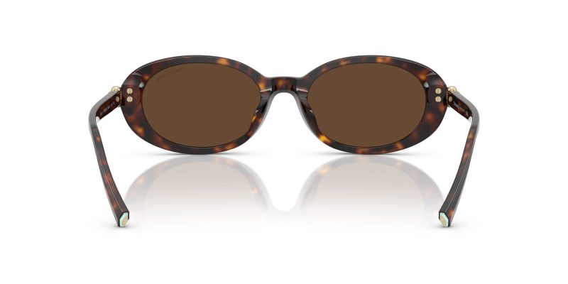 Tiffany & Co TF4242D-80153G - Back View