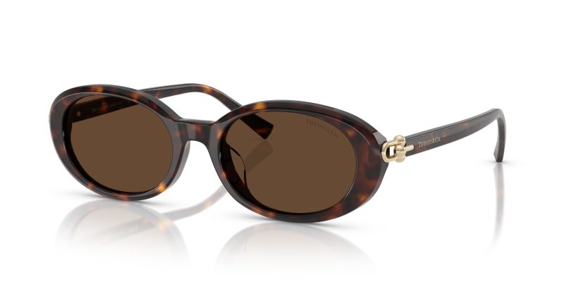 Tiffany & Co TF4242D-80153G - Quarter View