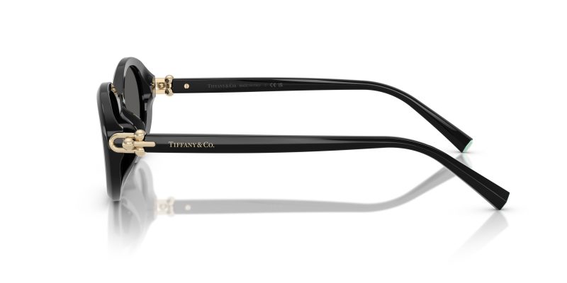 Tiffany & Co TF4242D-8361S4 - Side View