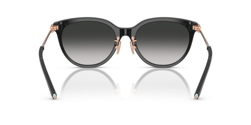 Tiffany & Co TF4243D-80013C - Back View