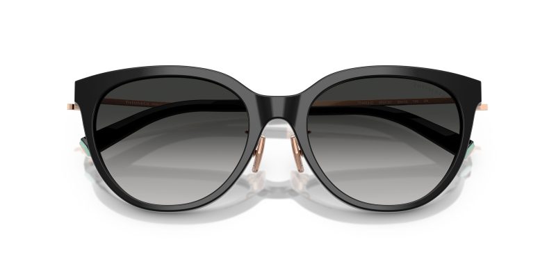 Tiffany & Co TF4243D-80013C - Folded View