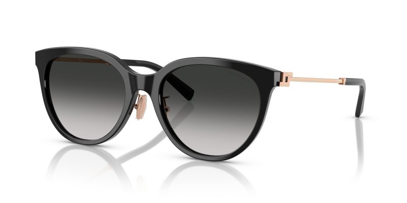 Tiffany & Co TF4243D-80013C - Quarter View