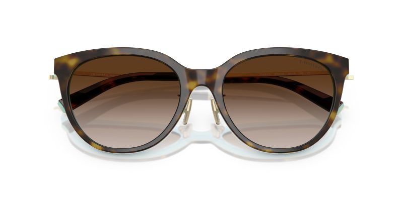 Tiffany & Co TF4243D-81343B - Folded View