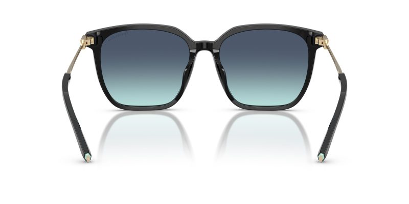 Tiffany & Co TF4244D-80019S - Back View