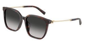 Tiffany & Co TF4244D-80153C